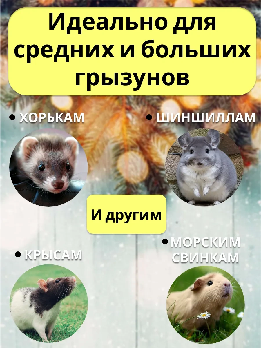 Petipet Kemirgenler Ve Sıçanlar İçin Kare Desenli Hamak 311881912