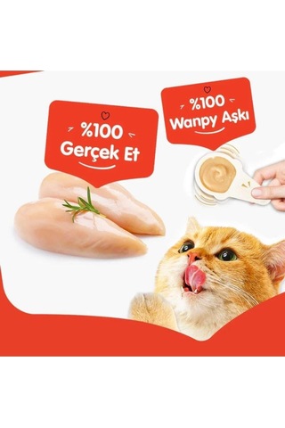 Tavuklu Kaşıklı Kedi Ödül Kreması 10x16 G