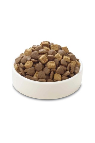Somonlu Tahılsız Yetişkin Kedi Maması 1,5kg