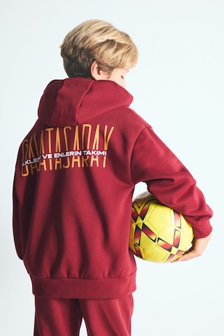 Defacto Galatasaray Kapüşonlu Fermuarlı Cepli Sweatshirt Basic Hırka Erkek Çocuk I6635a826wnrd119 Kırmızı-rd119