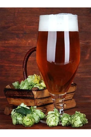 Purecrystal Bardak 2 Adet 620 Ml 182686717