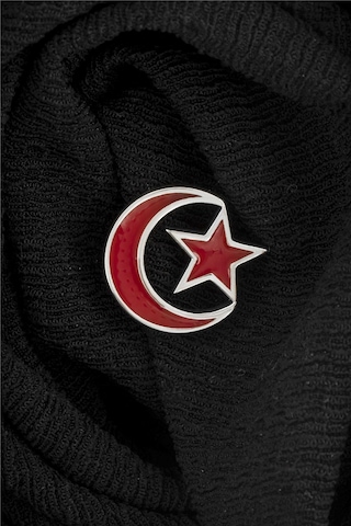 925 Ayar Gümüş Ayyıldız Mineli Rozet -8064 Gümüş