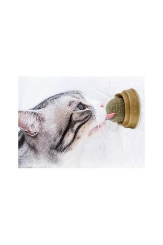 1 Adet Kedi Otu Oyun Topu Catnip Çift Bantlı