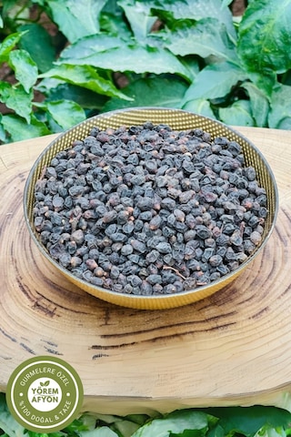 Meşhur Denizli Yöresinden Çekem Ökse Otu Tohumu, Gevele, Çam Burcu Viscum Album 45gr.