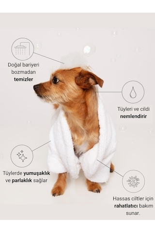 Greenwich Kedi ve Köpek Şampuanı Doğal İçerikli Vegan Şampuan Günlük Tüy Bakımı Nazik Temizlik ve Ekonomik Boy 400 ML