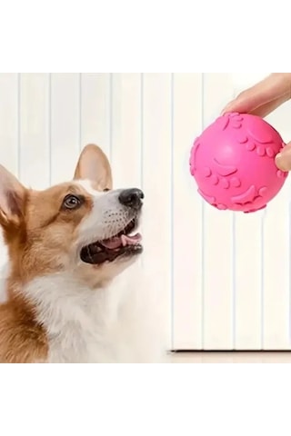 Zenviya21 Pati Desenli Köpek Isırma Topu Zenya785