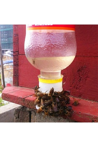 Pazly Suyu Suntek Su Içme Ekipmanları Besleyici Arı Paket 10 Adet Vf