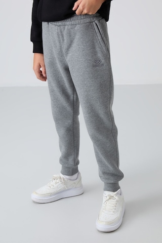 TOMMYLIFE Gri Melanj Pamuklu Kalın İçi Tüylü Standart Fit Nakışlı Erkek Çocuk Eşofman Alt - 11224