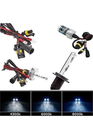H1 8000K Xenon Far Ampulü