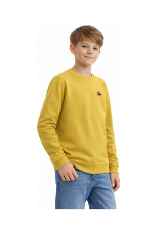 Baglan Erkek Çocuk Sweatshirt Bgl-st05228 Yeşil