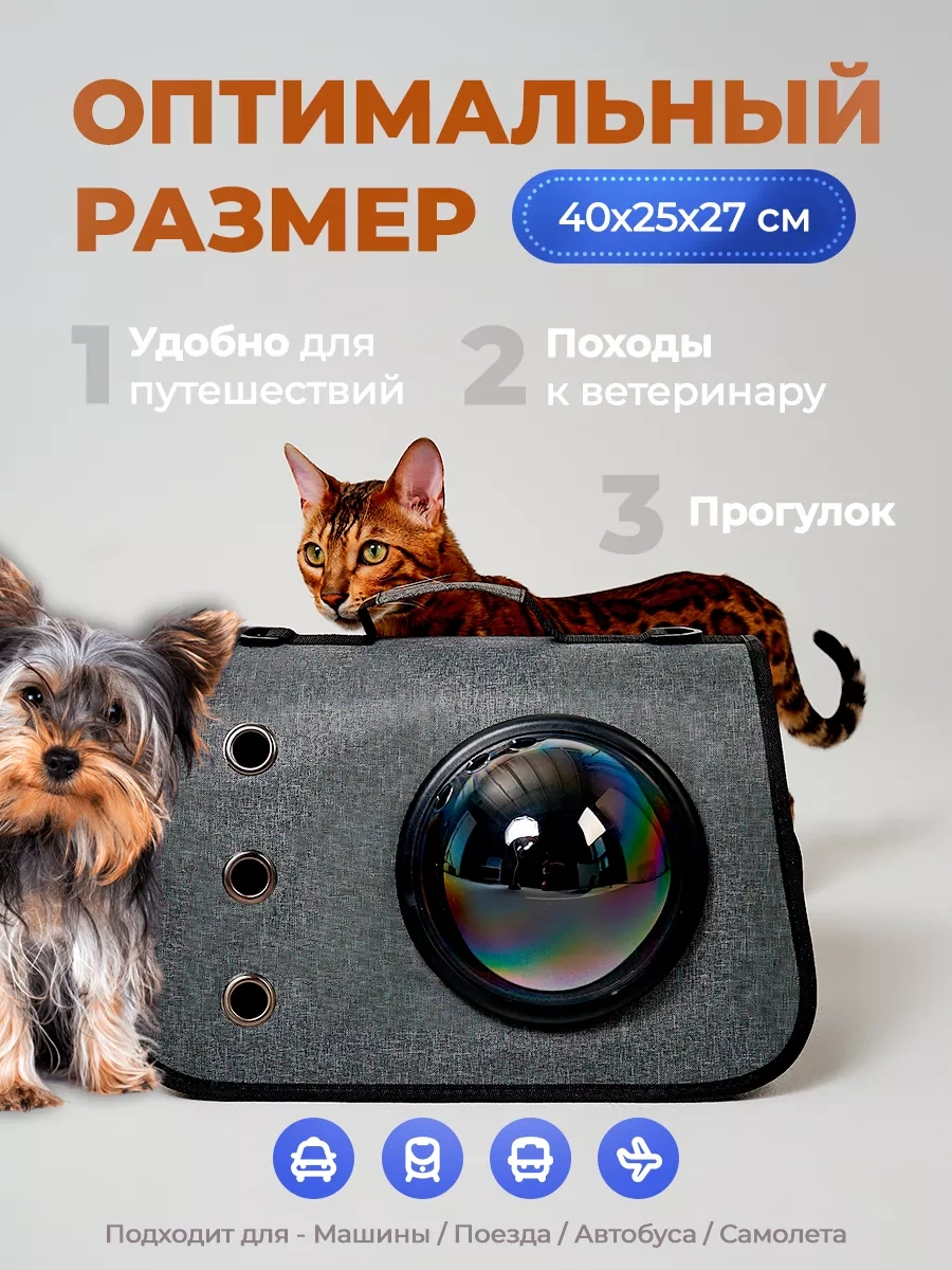 Martena Pets Evcil Hayvanlar, Kediler Ve Köpekler İçin Taşıma Çantası 235599952