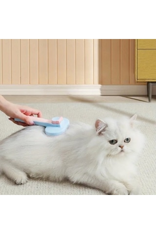 Büro Ev Evcil Hayvanı İçin Kendini Temizleyen Kedi Köpek Tüy Fırçası