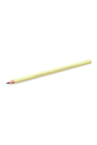 Ayrex Bıc Evolution Pastel Kurşun Kalem, 12'li Kutu, Kıymık Oluşturmaz, Çiğnemeye Karşı Dayanıklı, Kolay Açı Genel