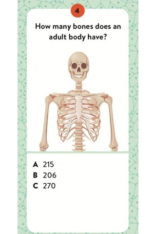 Human Body - The Ultimate Atlas Canlı Renkler