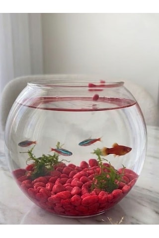 Mucit Home Kırmızı Pembe Karışık Fanus Taşı Akvaryum Balık Taşı