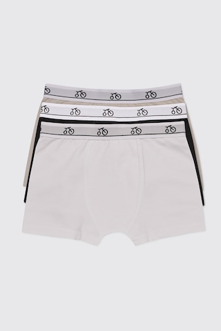 Panço Erkek Çocuk 3'lü Multi Boxer Seti 2602bk14003 Renkli