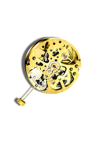 Xurunkeji Altın İskelet 2004 Hareketi Sıradan Sarkaç Ayarı Radyasyon Desenli Tam Otomatik Saat Hareketi Altın
