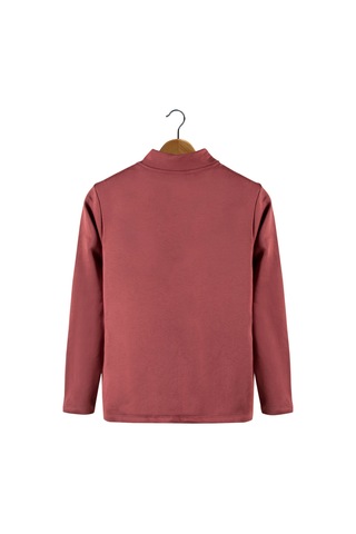 Terapi Men Erkek Kırmızı Yarım Fermuarlı Basic Düz Sweatshirt Kırmızı