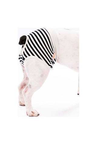 Black Striped Kedi-köpek Çamaşırı Regl Kilodu Kedi-köpek Kıyafeti