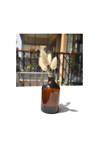2 Adet Mini Vazo Amber Cam Dekoratif Minimal Cam Şişe 100 Ml İskandinav Kahverengi Vazo Seti