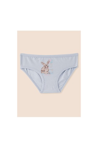 Natuline Kız Çocuk Organik Pamuklu Likralı Külot Just Be Rabbit Yourself Rabbit 6'lı Paket Açık Mavi - Yeşil - Ekru