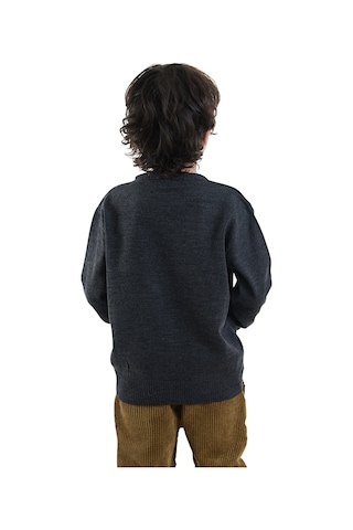 Denokids Hayvanlar Erkek Çocuk Triko Kazak Renkli