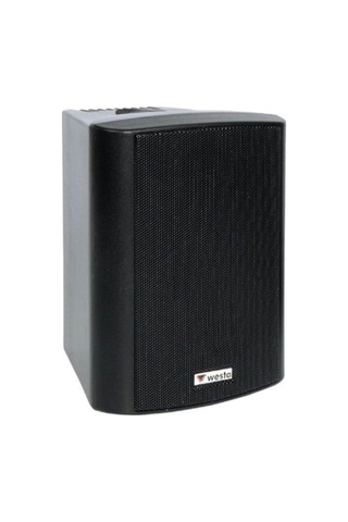Westa WS-5TB Trafolu Duvar Tipi Çift Hoparlör