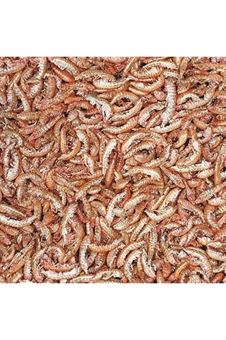 Gammarus Balık Yemi, 100 Ml, 12 Gram Ağırlığında