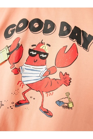 Name It Nmmfish Nreg Ss Top Box Unisex Çocuk T-shirt 13241295 Somon