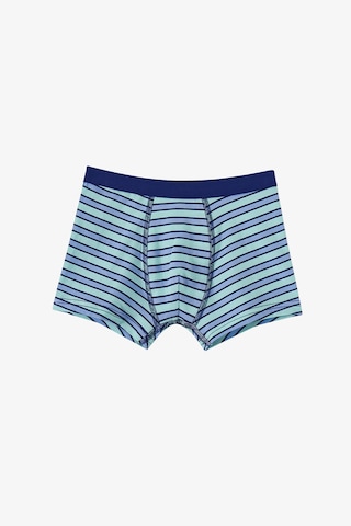 Penti Mavi Erkek Çocuk Fishy Friends 3lü Boxer