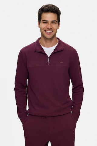 UCLA Zeon Bordo Yarım Fermuarlı Nakışlı Standard Fit Erkek Pike Sweatshirt