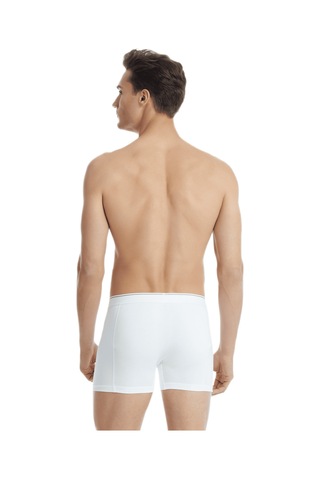 Blackspade Erkek Boxer 3'lü Paket Tender Cotton 9673 Renkli