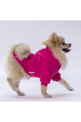 Pettrend Tavşan Kanguru Cepli Kedi-Köpek Hoodie Sweatshirt