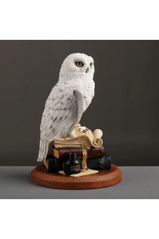 Kitap Üzerinde Beyaz Kar Baykuşu Hedwig Biblosu