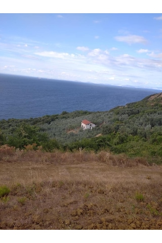 Barrıer Borlu Kaolin