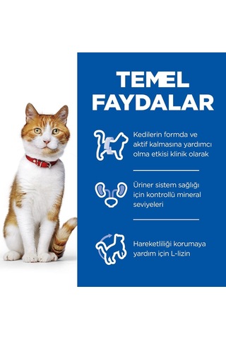 's Scıence Plan Kısırlaştırılmış Yetişkin Tavuklu Kedi Maması 8+2 Kg