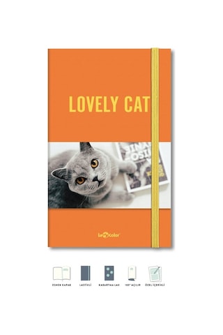 Kedi Dünyası Journal Düz