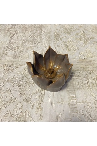 Küçük Lotus Nilüfer Çiçeği