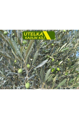Bitki Koruyucu Kaolin Kili 5 Kilogram