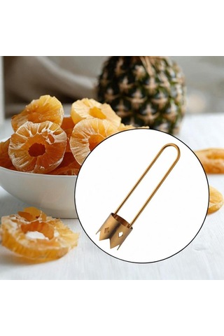 Homyl Meyve Çekirdek Çıkarıcı Oyma Kullanımı Kolay Altın Altın