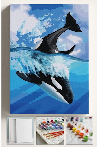 Sayılarla Boyama Çerçeveli Hobi Seti Numaralı Tuval Fırça Boya Dahil Kasnaklı Balina 40x50 Cm