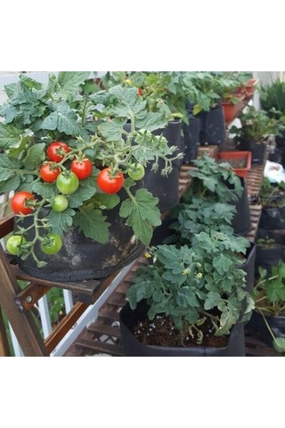 Ulzyvf Yetiştirme Torbaları Seti - Saksı Kumaşı, Farklı Boyutlarda, 5'li Bahçe