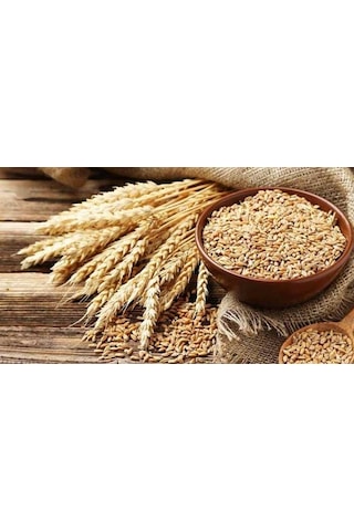Buğday Yem 5 Kg Doğal Buğday Yemi Tavuk Yemi Kuş Yemi Kanatlı Yem