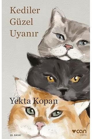 Kediler Güzel Uyanır