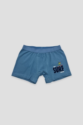 Defne Baby Erkek Çocuk Deseli Premium Pamuklu 2'li Boxer Seti Çok Renkli