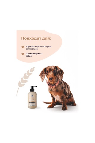 Lıssılandıa Yulaf Ve Aloe Vera Balsam-saç Kremi 412615085