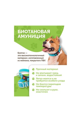 Ooo "firma Kaskad" Köpek Tasması 343182618 Akuamarin