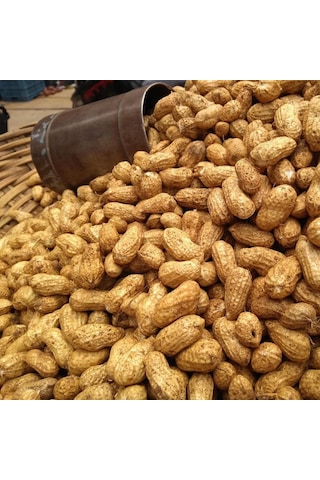 Yeni Hasat Taze Haşlamalık Çiğ Yer Fıstığı Yeni Söküm 3 Kg 3 KG