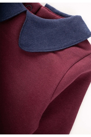 Cigit Bebe Yakalı Sweatshirt Takım 0-3 Yaş Bordo Bordo