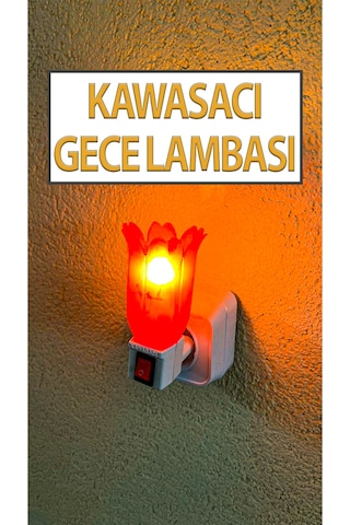 Nostaljik Gece Lambası Kendinden Fişli Çıt Çıt Anahtarlı 7 Watt Ampullü Çiçek Model Kırmızı